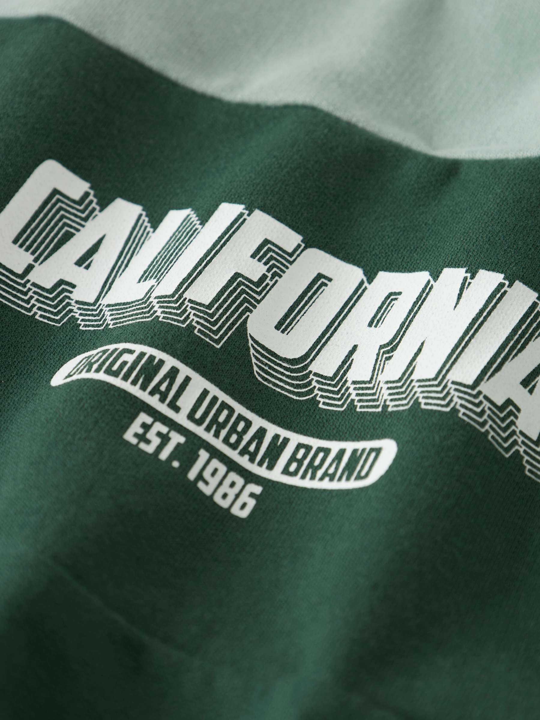 Felpa a Maniche Lunghe Vemil Junior con Stampa